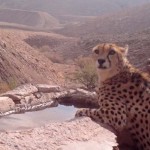 فیلم مستند اشک سیاه