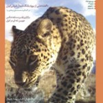 روی جلد یوزنامه شماره 22