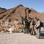 تور حیات وحش