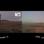 چکو زنده است!