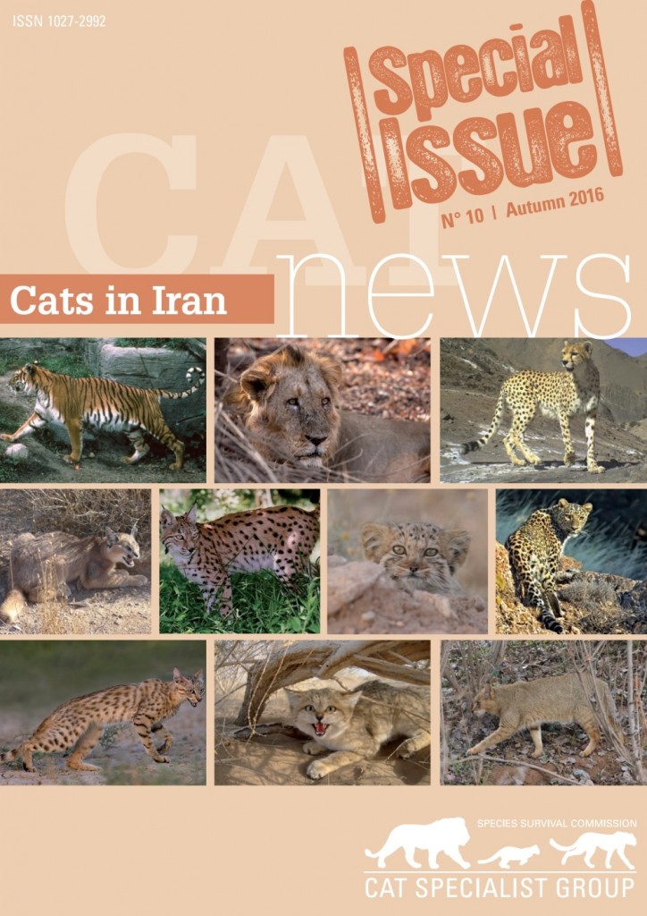 ویژه نامه گربه سازان در ایران