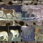 NA-CH009-M