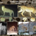 NA-CH012-M