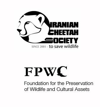 logo- fpwc22222 (2)