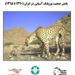 ICS_Cheetah