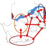 جا به جایی یوزپلنگ ها به صورت دسنی در فراجمعیت های آفریقای جنوبی