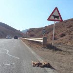 تصادفات جاده ای