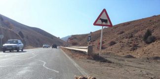 تصادفات جاده ای