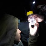 IMG-20190220-WA0013