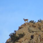 IMG-20190220-WA0038