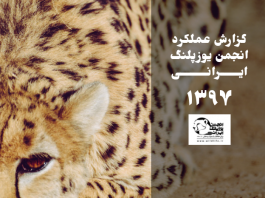 گزارش عملکرد انجمن در سال ۱۳۹۷