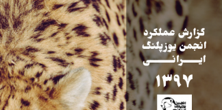 گزارش عملکرد انجمن در سال ۱۳۹۷