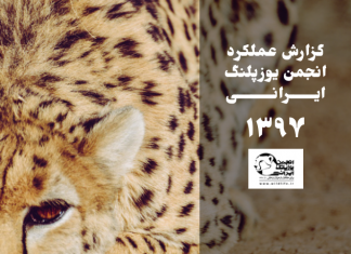 گزارش عملکرد انجمن در سال ۱۳۹۷