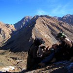 donate camera trap