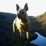 I__00273 (2)
