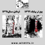 29557b0a-9ffe-45e3-8532-06cf07839f20