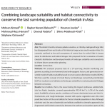 Combining landscape suitability and habitat connectivity to conserve the last surviving population of cheetah in Asia