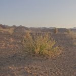 پناهگاه حیات وحش عباس اباد (2)