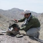 پناهگاه حیات وحش عباس اباد (5)