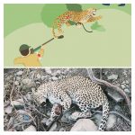 راهنمای صحرایی نجات گوشتخواران بزگ جثه از تله‌های سیمی