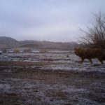 ICS- DoE-CACP (4)