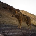 ICS-DoE-CACP(2)