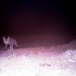 ICS-DoE-CACP(3)