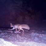 ICS-DoE-CACP(6)