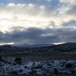IMG_8835