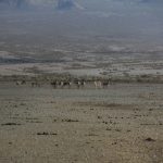 IMG_9680