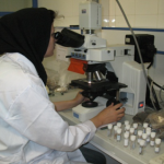 M.Mojtahedi