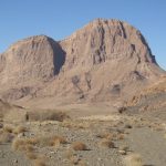 N.Gholikhani (2)