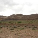 Siahkouh Ardakan (3)