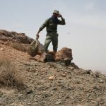 gholikhani (3)