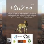 Livestock Remove from Cheetah habitat-fa