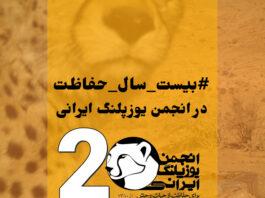 بیست سال حفاظت از یوزپلنگ ایرانی