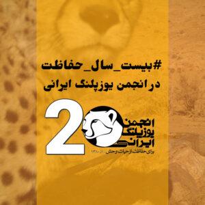 بیست سال حفاظت از یوزپلنگ ایرانی