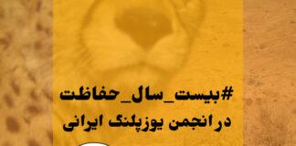 بیست سال حفاظت از یوزپلنگ ایرانی