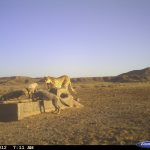 CDY_0111