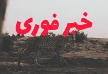 تارا یوزپلنگ آسیب‌دیده توران پیش از جدایی از مادر