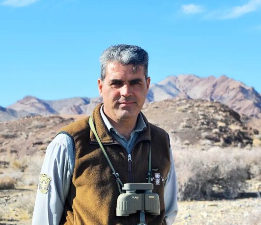 احمد رادمان